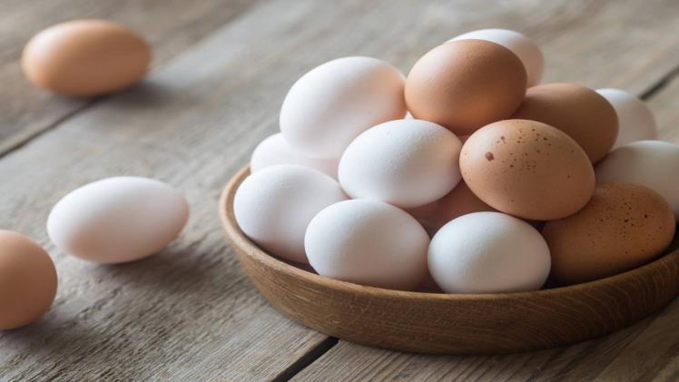 Are Broiler Eggs Good for Your Health or Not?