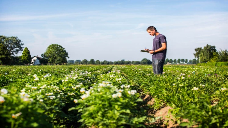 Why is Dutch Agriculture Critically Dependent Upon Technology?